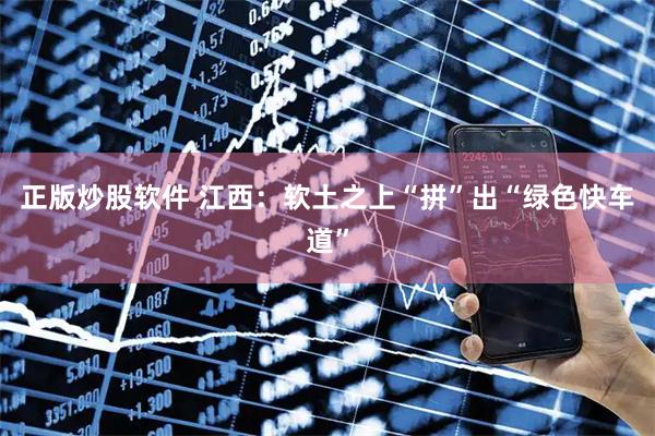 正版炒股软件 江西：软土之上“拼”出“绿色快车道”