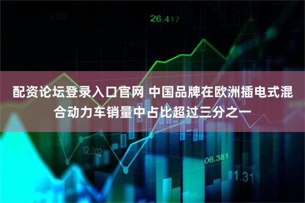 配资论坛登录入口官网 中国品牌在欧洲插电式混合动力车销量中占比超过三分之一
